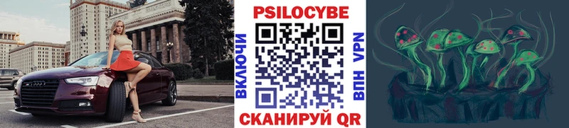 Купить  Катайск  Псилоцибиновые грибы ЛСД 